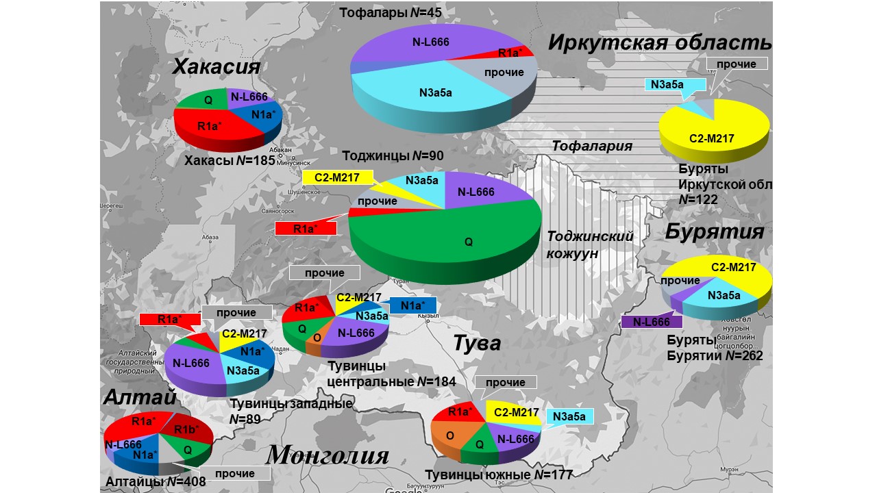 Генетические портреты охотников-оленеводов Южной Сибири – тофалар и  тоджинцев | Генофонд РФ